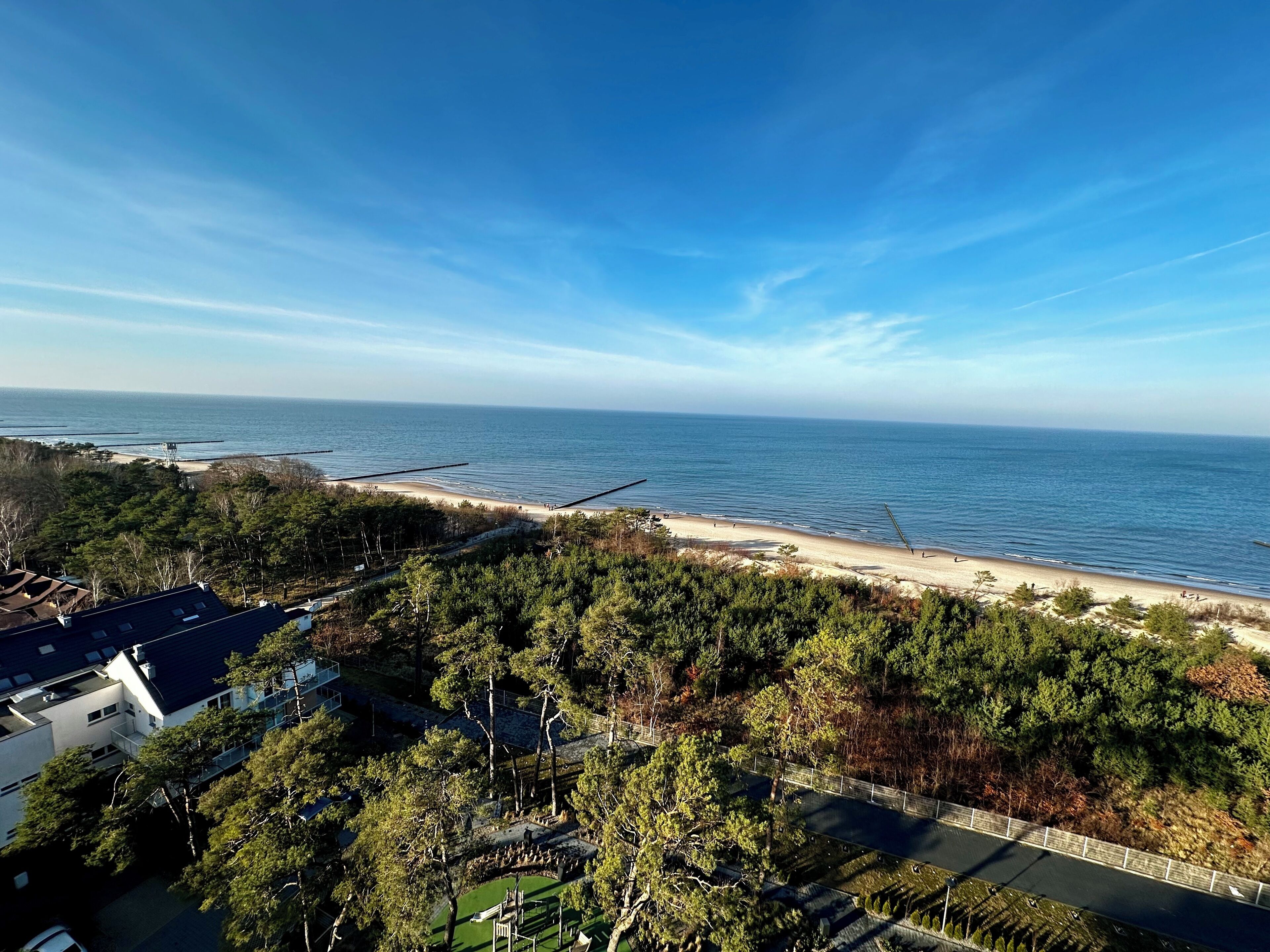 A coastal view with a beach, dense trees, and a clear sky.