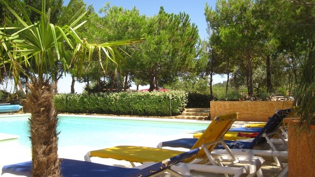 Un espace piscine avec des chaises longues et un palmier.