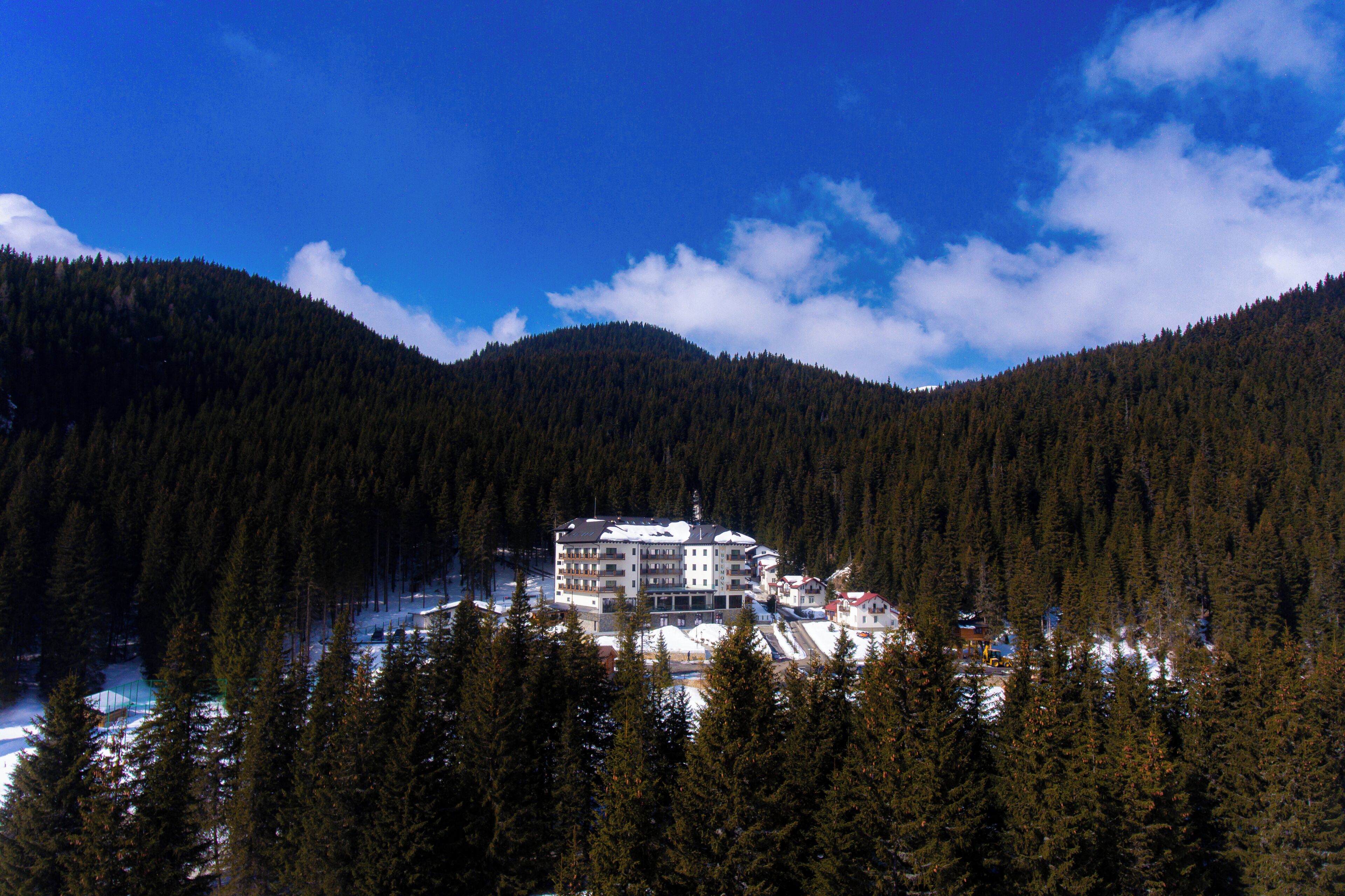 A multi-story building surrounded by dense forest, with snow on the ground and a clear blue sky.