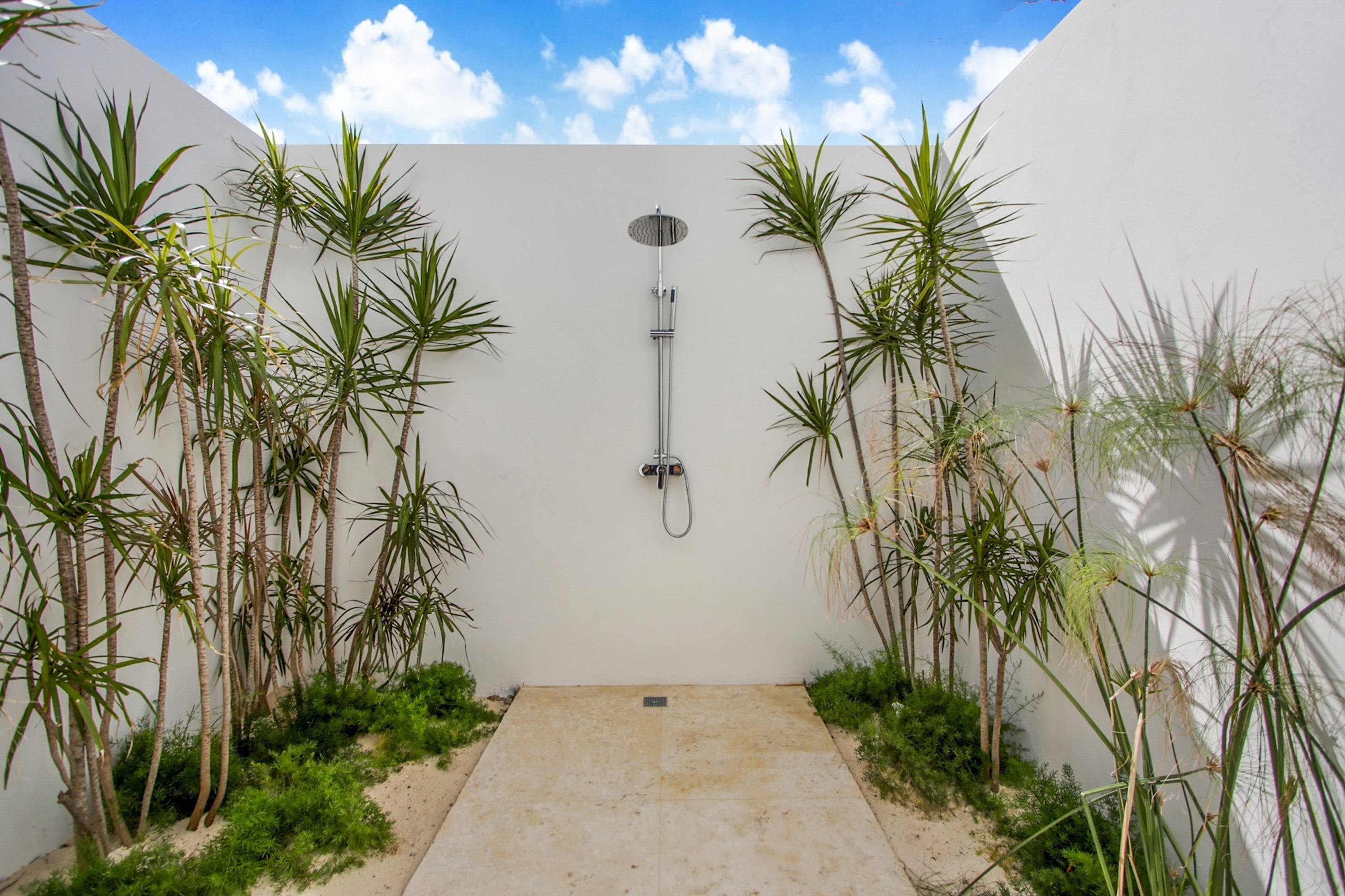 A shower area with a white wall, a showerhead, and surrounding plants.