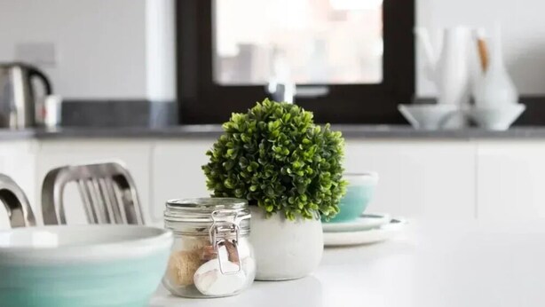 Una cocina moderna con armarios blancos, electrodomésticos de acero inoxidable y una pequeña planta en maceta sobre la encimera.