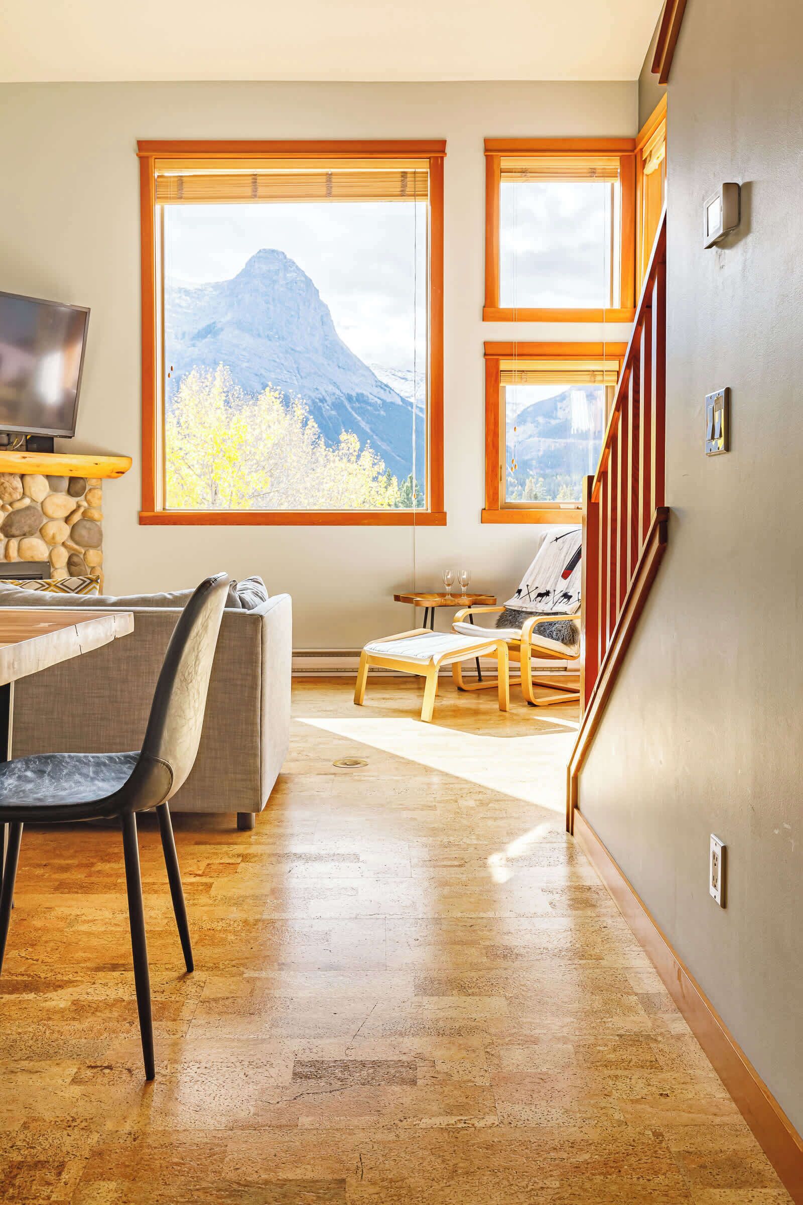 Télévision, cheminée, espaces bureaux