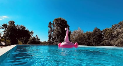 Villa Jovicic: Exklusive Ferienwohnungen mit Pool und Panoramablick
