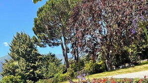 Ein Poolbereich mit gefliestem Deck, einer Bank und einem Garten mit verschiedenen Pflanzen und Blumen.