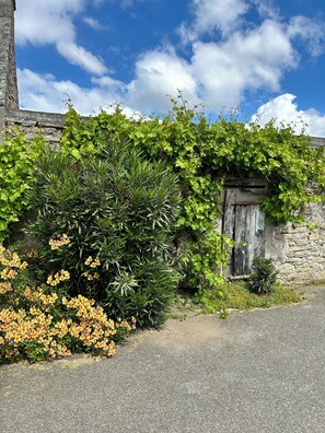 Exterior detail - Maison de Vacances - la Torche - Finistère - Bretagne (Plomeur)