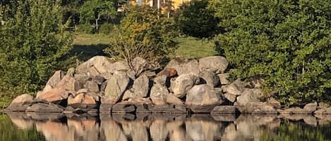 Boendeområde