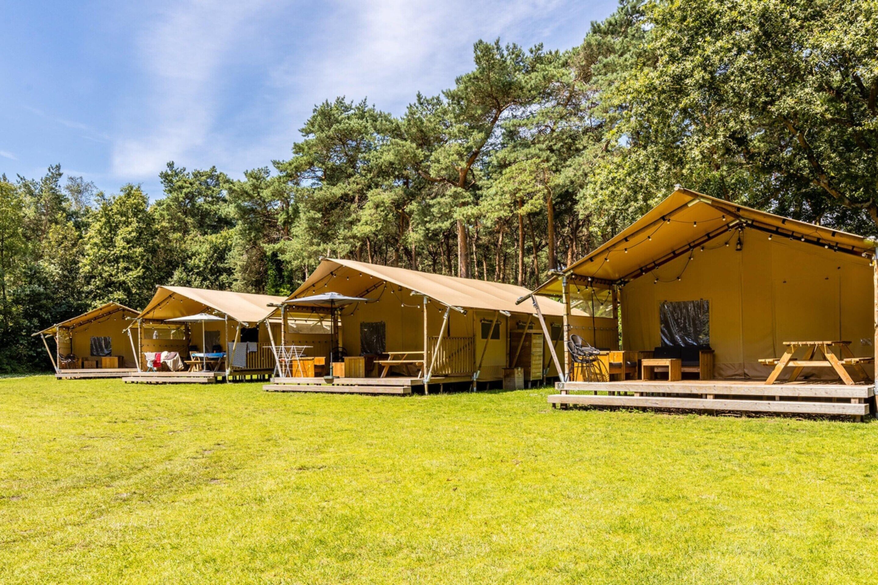 Tent | Garden