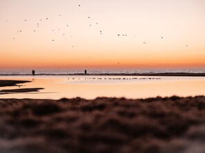 Guests can enjoy a serene beach experience with gentle waves and a clear horizon.
