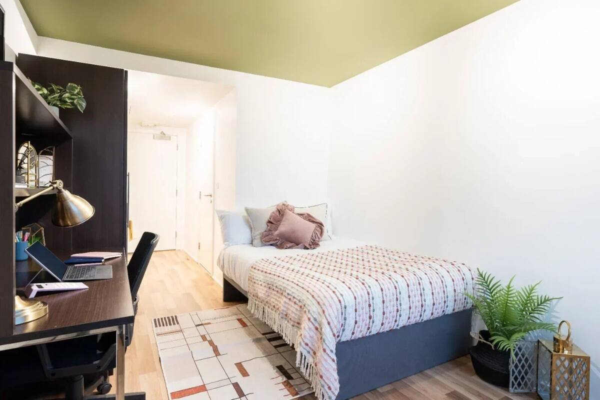 A bedroom with a bed, desk, and chair, a small plant, and a lamp.