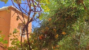 Ein Garten mit vielfältigen Pflanzen und einem Gebäude im Hintergrund, das eine rote Tür und Stufen hat.