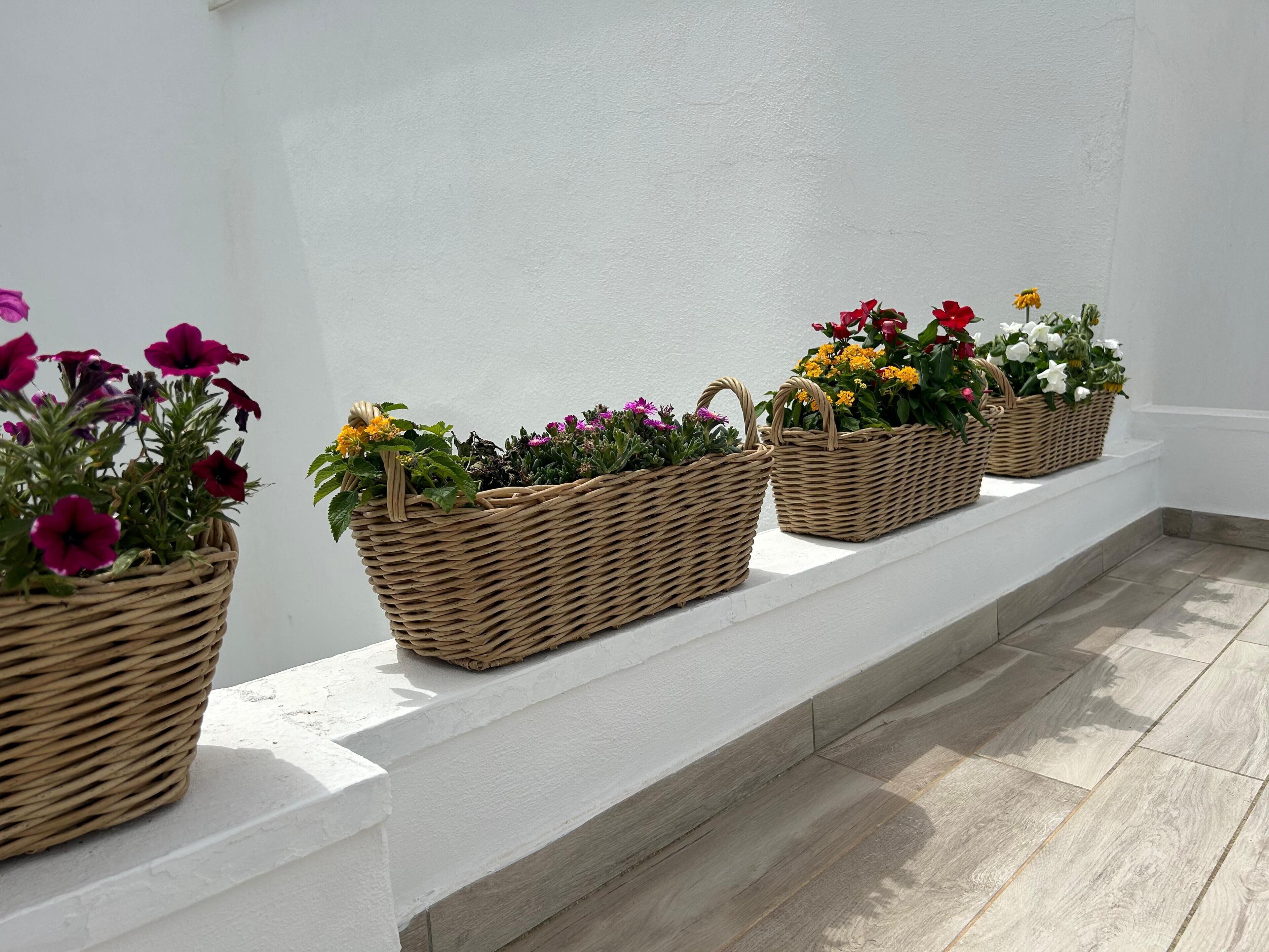 En række kurvefletkurve fyldt med farverige blomster på en hvid hylde.