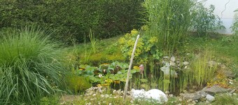 Ferienwohnung im schönen Ilzer Land, in Nähe des Bayerischen Wald 