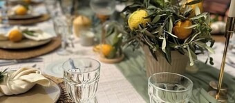 Tulpar Ay Villaları 