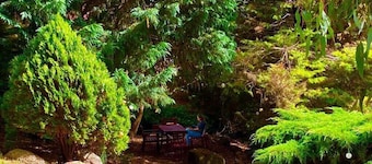 A peaceful break amidst lush greenery and birds