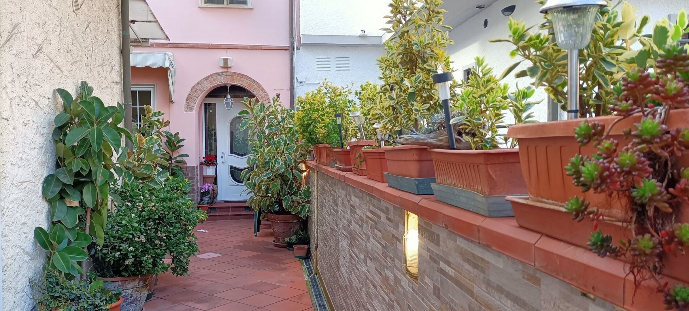A narrow pathway flanked by potted plants and a brick wall leading to a building entrance.