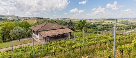 Dutxa i assecador de cabells