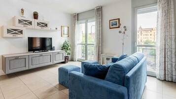 Fernseher, Arbeitsbereiche