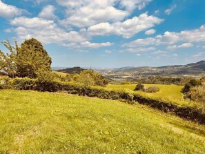 A grassy landscape with trees and a clear sky.