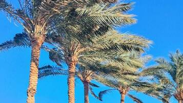 Standard Double or Twin Room, 1 Bedroom, Balcony, Sea View | Egyptian cotton sheets, premium bedding, minibar, in-room safe