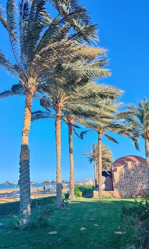 Egyptian cotton sheets, premium bedding, minibar, in-room safe - Swisstouch Oriental Resort Marsa Alam  (El Quseir)