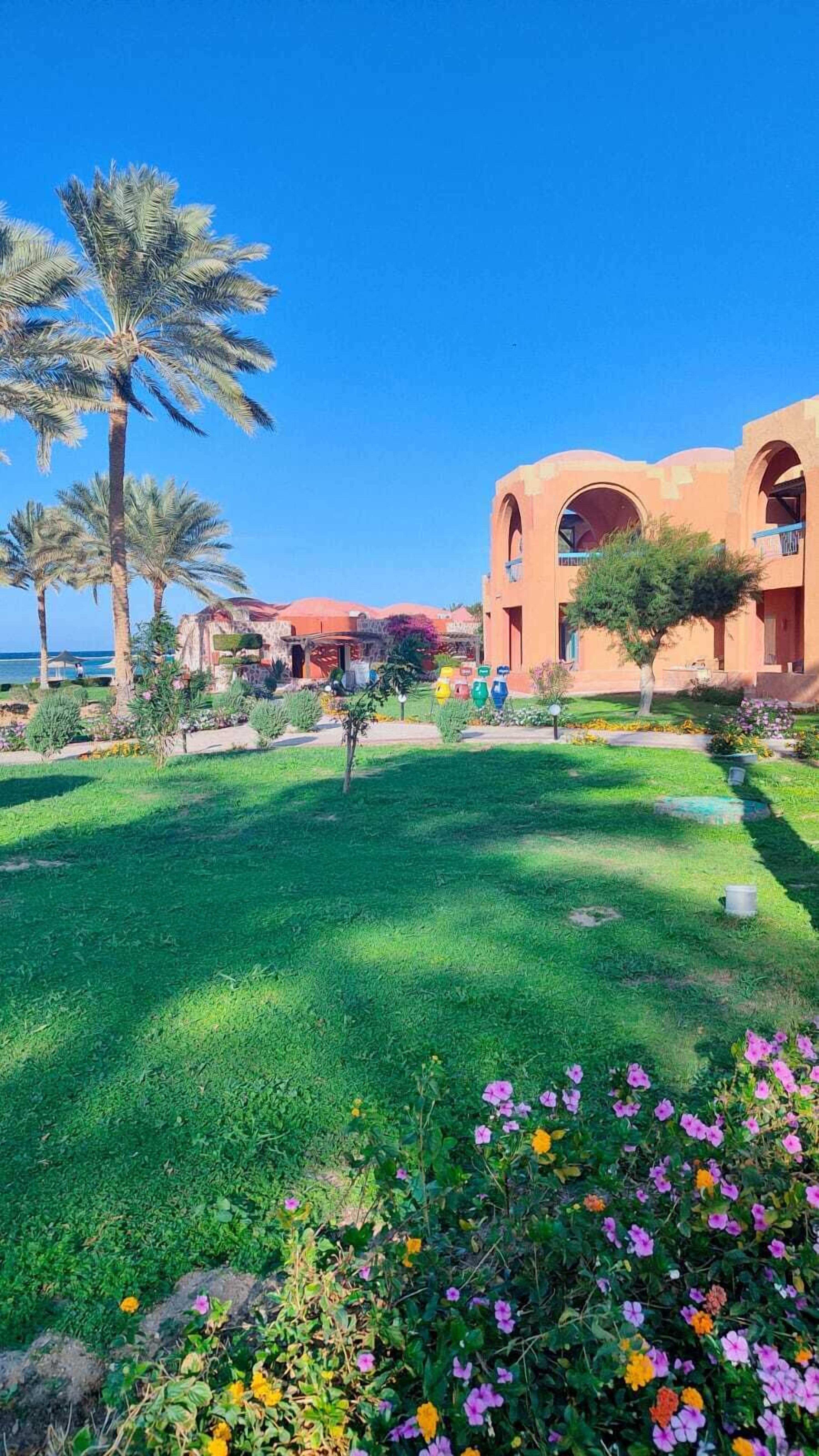 Sábanas de algodón egipcio, ropa de cama de alta calidad y minibar 