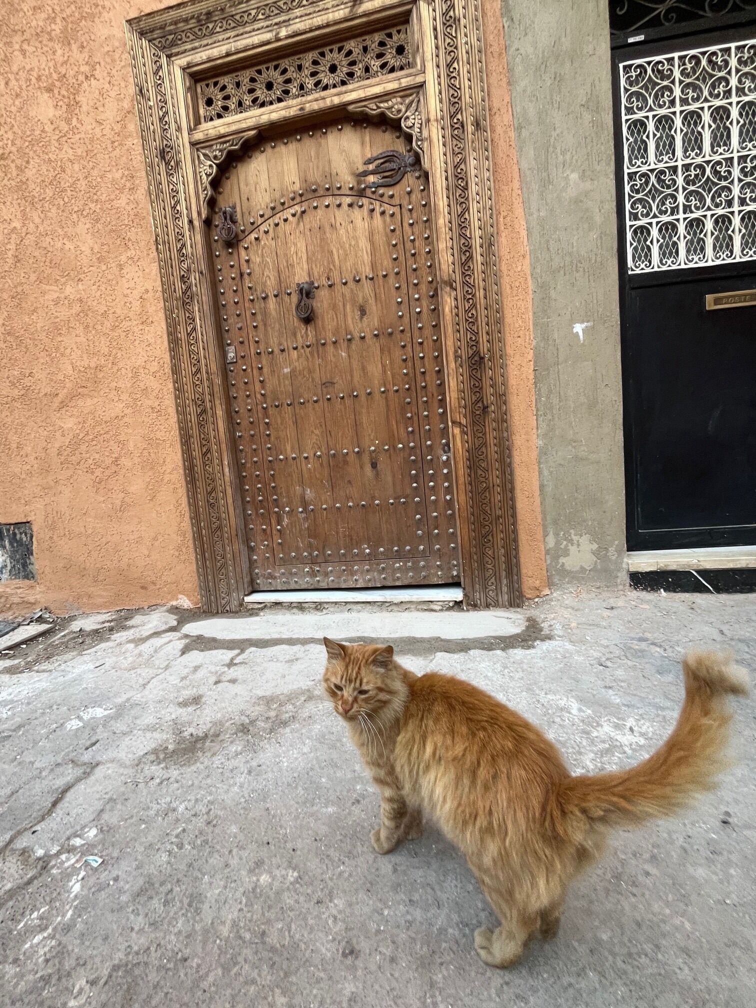 Photo - Free People Riad and Spa