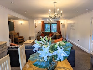 Televisión, chimenea y libros