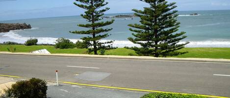 Beach/ocean view