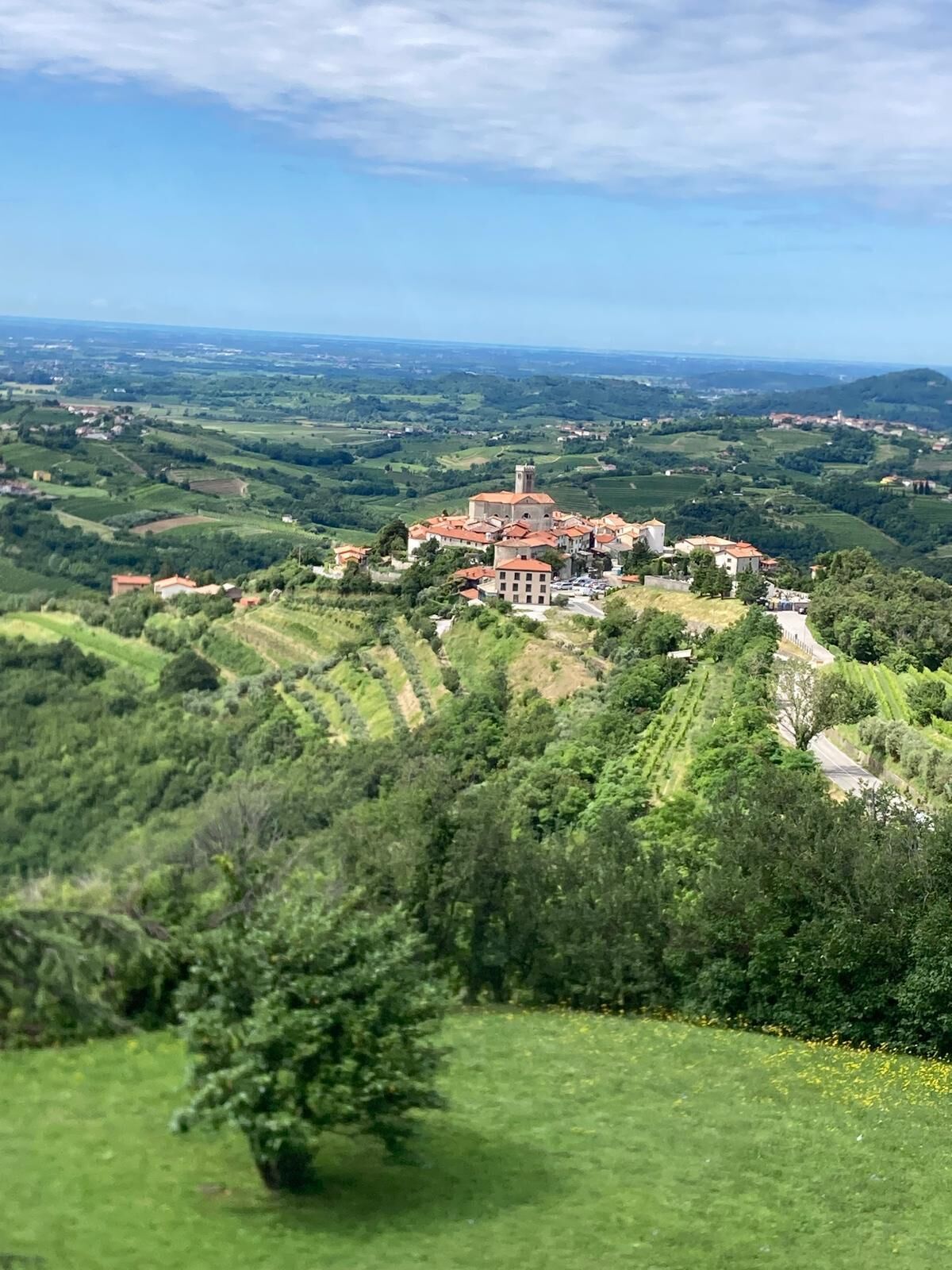 A rural village with a prominent church and surrounding vineyards.