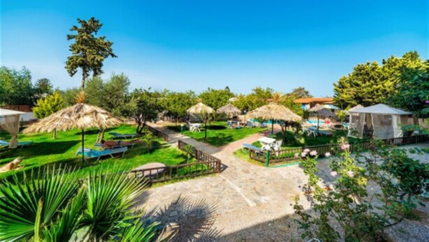 A resort with thatched-roof huts, a swimming pool, and a well-maintained garden. - HARMONY HOTEL AND STUDIOS (Hersonissos)