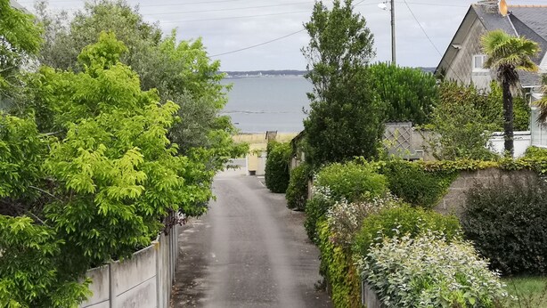Una carretera estrecha bordeada por abundante vegetación y edificios residenciales.