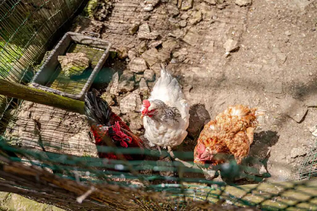 Détail de l’intérieur