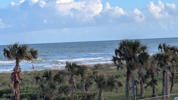 On the beach, sun-loungers, beach towels