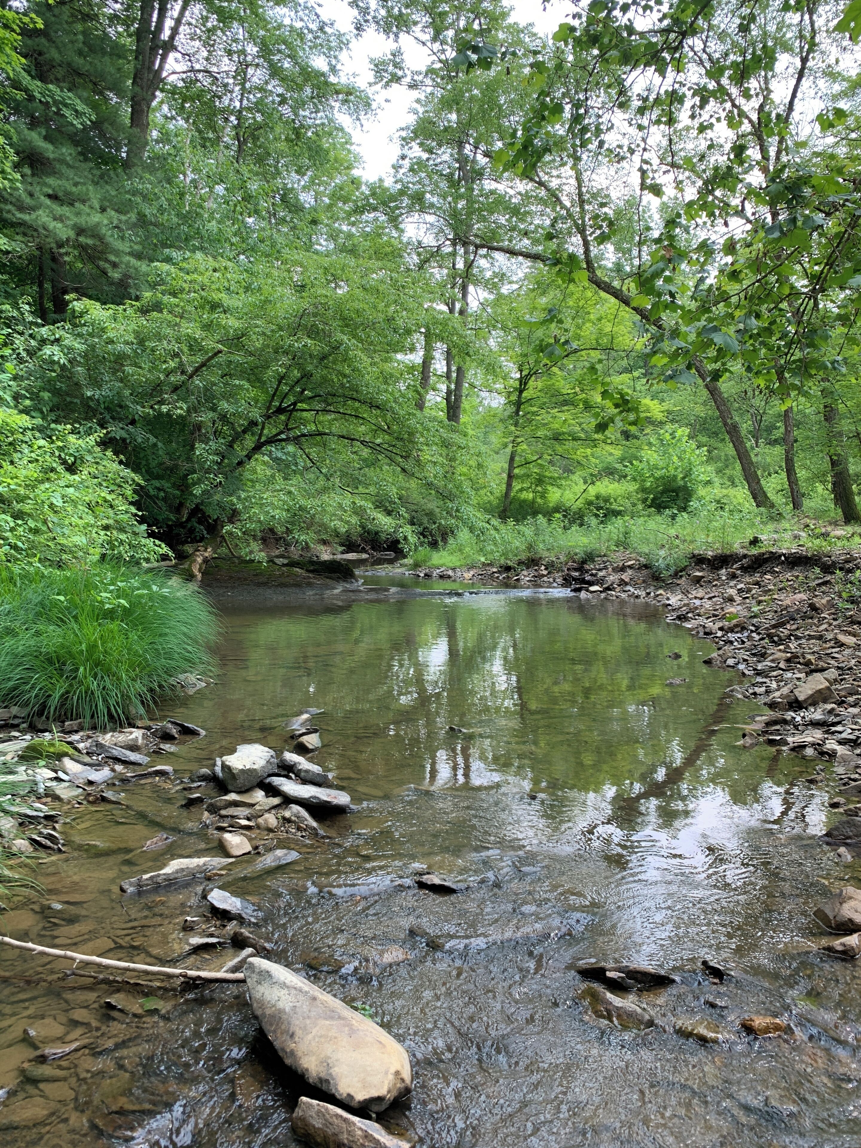 Peaceful Creekside Camper near Knoebels, Spyglass, and outdoor recreation.
