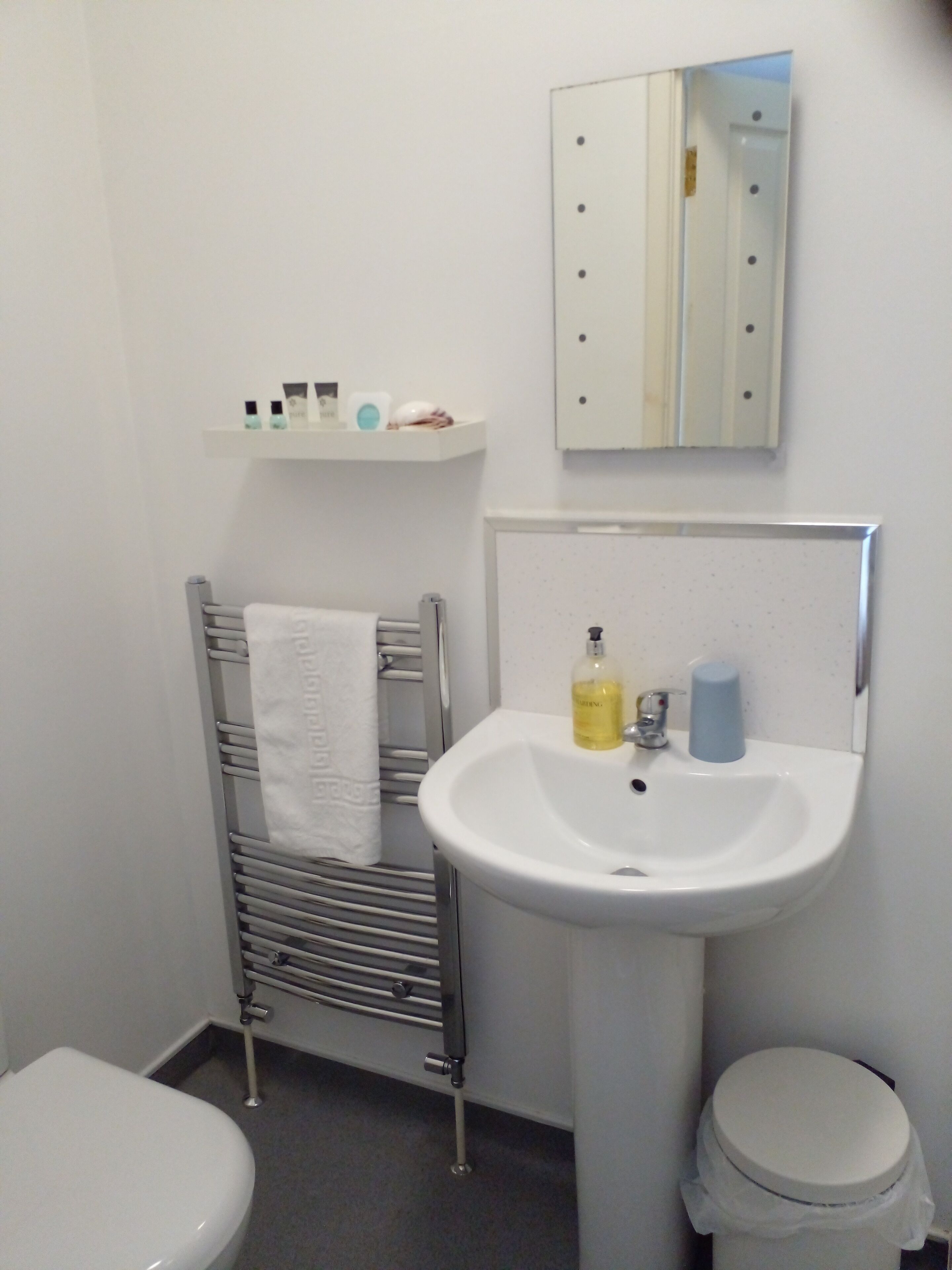A bathroom with a white sink, a mirror, a towel rack, and a toilet.