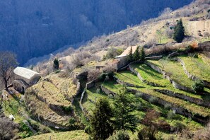 Vue aérienne