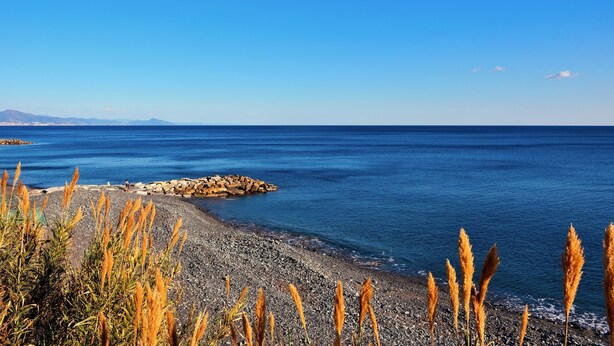 Strand