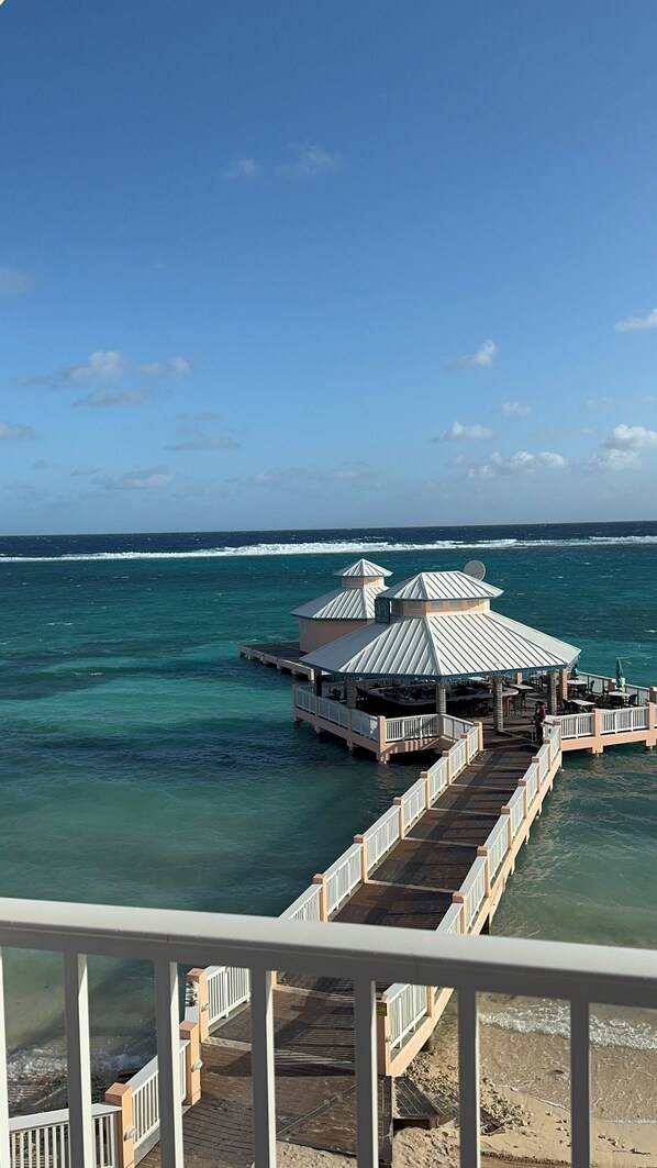 Property grounds - Enjoy your Christmas in a Delightful 2-bedroom resort in East End Grand Cayman! (East End)