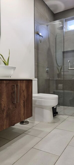Ducha, toallas, jabón, papel higiénico
