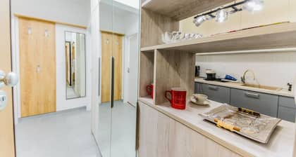 Apartment Saga With Terrace And Parking