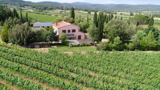 A vineyard with rows of grapevines and a house with solar panels. - Appartamento Uva Shared Pool (Roccastrada)