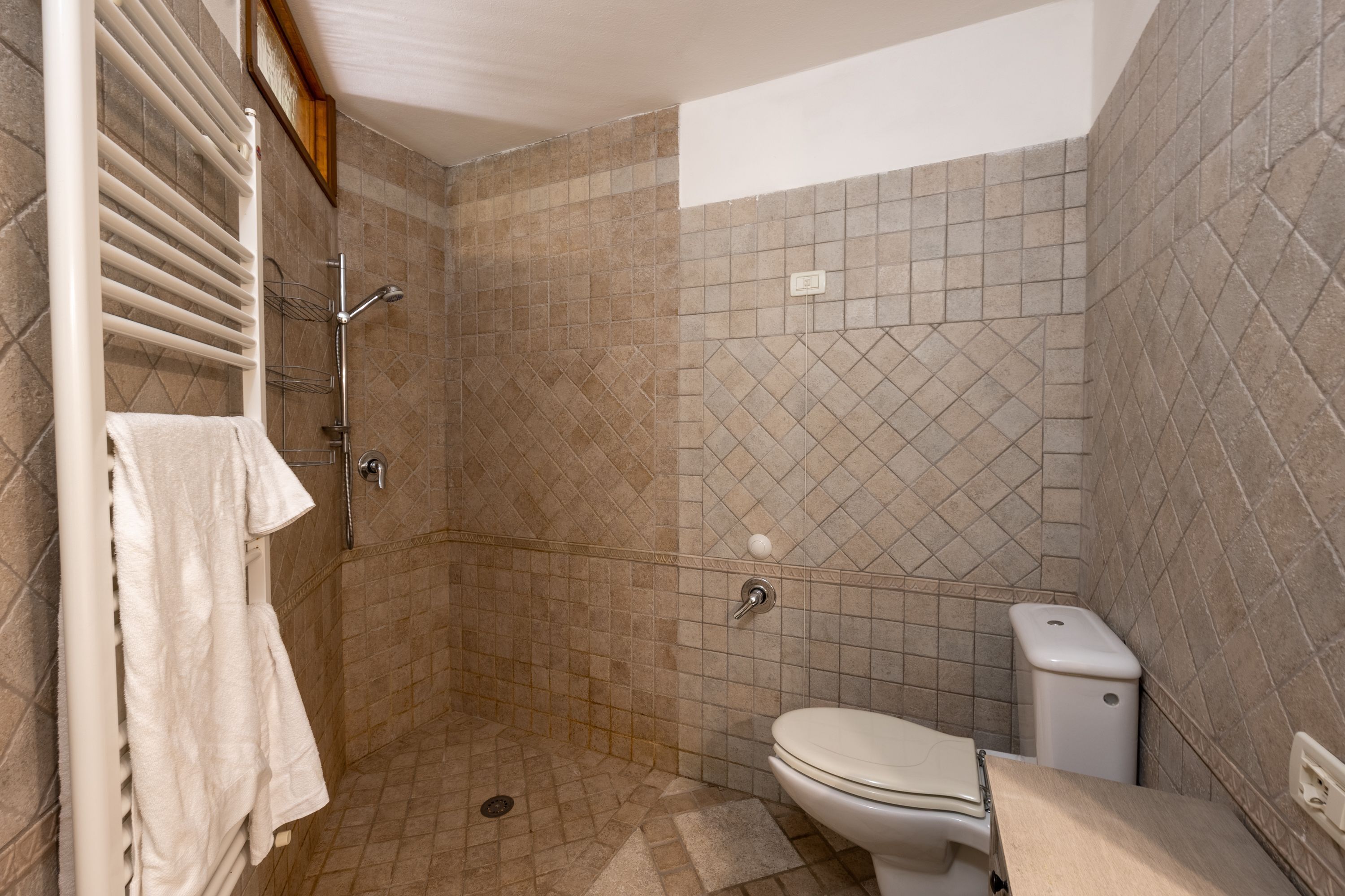 Une salle de bain avec douche, toilettes et porte-serviettes.