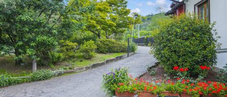 Appartement | 1 slaapkamer