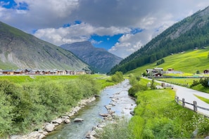 Room - Cimone in Livigno With 2 Bedrooms and 1 Bathrooms (Livigno)