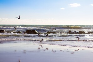 A beach with waves and birds flying. - Casa Smeralda a 200 mt Dal Mare (Augusta)