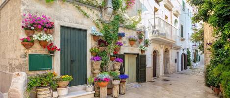 Apartment | 2 Schlafzimmer