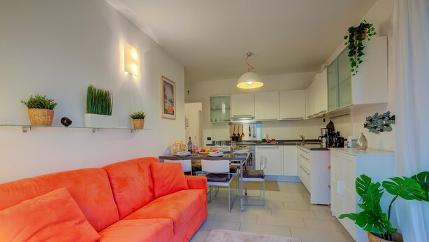 Un salon moderne avec un canapé orange vif, un coin repas avec une table et des chaises, et une cuisine avec des meubles blancs et une plante suspendue.