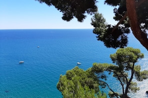 A coastal view with clear blue sea, boats, and pine trees.