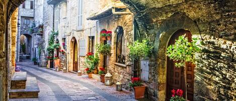 Apartment | 1 bedroom