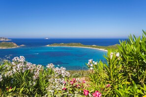 Villa | 1 bedroom - Glori House 50mt From Marina di Olbia (Olbia)